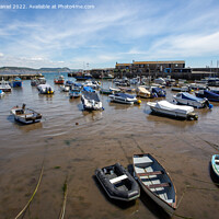 Buy canvas prints of Lyme Regis Harbour by Derek Daniel