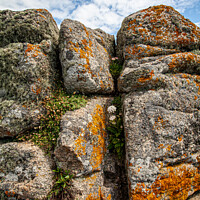 Buy canvas prints of Lichen covered rocks Lands End, Cornwall  by Derek Daniel