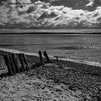Buy canvas prints of Lepe Beach, Beaulieu, Hampshire (mono) by Derek Daniel