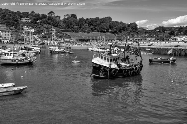 Lyme Regis Harbour (mono) Picture Board by Derek Daniel
