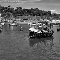Buy canvas prints of Lyme Regis Harbour (mono) by Derek Daniel