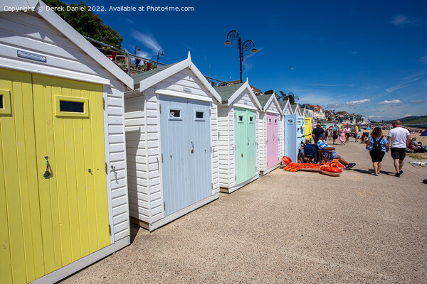 Colourful Beach Huts at Lyme Regis Picture Board by Derek Daniel