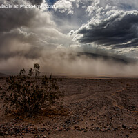 Buy canvas prints of Swirling Sand Storm in Death Valley by Derek Daniel