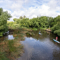 Buy canvas prints of Paddle Boarders River Stour by Derek Daniel