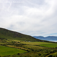 Buy canvas prints of Irish Landscape, Dingle peninsula, Ireland by Derek Daniel