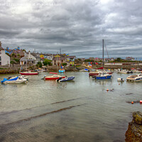 Buy canvas prints of Cemaes Bay Harbour, Anglesey by Derek Daniel