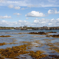 Buy canvas prints of Tranquil Rhoscolyn Beach Anglesey by Derek Daniel