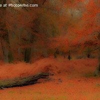 Buy canvas prints of Autumn Forest Scene (panoramic) by Derek Daniel