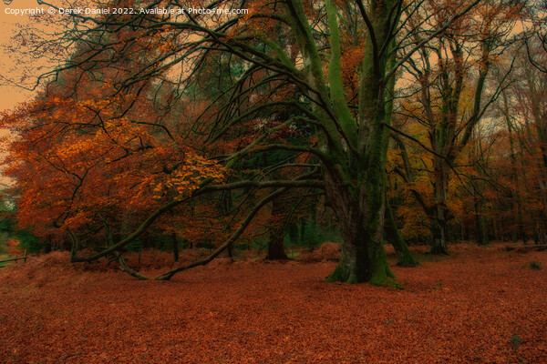 Autumn Forest Scene Picture Board by Derek Daniel