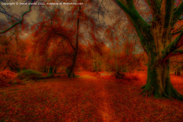 Enchanting Autumn Forest Picture Board by Derek Daniel