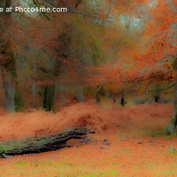 Buy canvas prints of Enchanted Autumn Wonderland by Derek Daniel