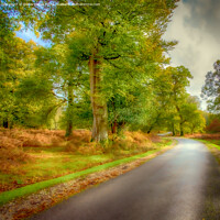 Buy canvas prints of Autumn in the forest by Derek Daniel