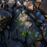 Buy canvas prints of Rocks at Hartland Quay by Derek Daniel