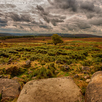 Buy canvas prints of Owler Tor, Peak District by Derek Daniel