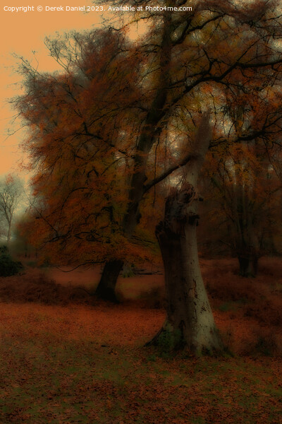 Autumn Forest Scene Picture Board by Derek Daniel