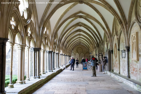 A serene walk through Salisburys Gothic cloisters Picture Board by Derek Daniel