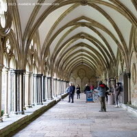Buy canvas prints of A serene walk through Salisburys Gothic cloisters by Derek Daniel