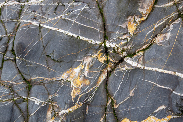 Mystical patterns of Sandymouth Bay Picture Board by Derek Daniel