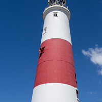 Buy canvas prints of The Majestic Portland Bill Lighthouse by Derek Daniel