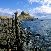 Buy canvas prints of Magnificent Lindisfarne Castle by Derek Daniel