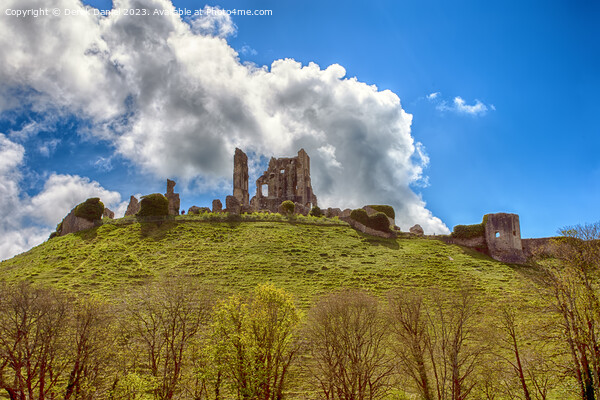 Majestic Ruins of Corfe Castle Picture Board by Derek Daniel