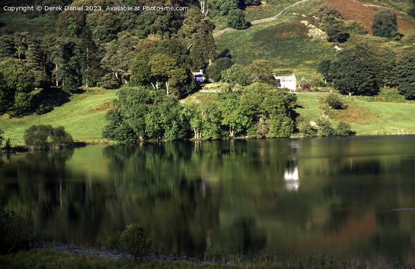 Serenity at Loughrigg Tarn Picture Board by Derek Daniel