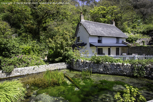 Fairytale Cottage in a Picturesque Village Picture Board by Derek Daniel