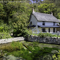Buy canvas prints of Fairytale Cottage in a Picturesque Village by Derek Daniel