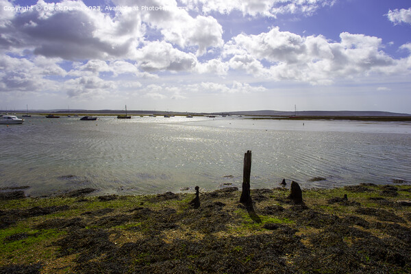Looking Out Over The Solent At Keyhaven Picture Board by Derek Daniel