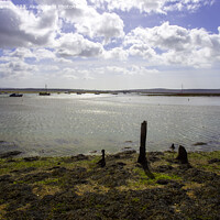 Buy canvas prints of Looking Out Over The Solent At Keyhaven by Derek Daniel