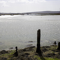 Buy canvas prints of Rustic Remnants by Derek Daniel