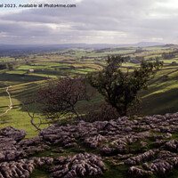 Buy canvas prints of View from the Limestone Pavement at Malham by Derek Daniel
