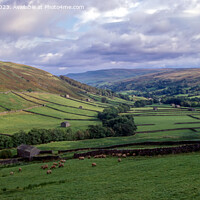 Buy canvas prints of Tranquil Beauty in the Yorkshire Dales by Derek Daniel