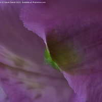 Buy canvas prints of Enchanting Symphony of Violet Floral Elegance by Derek Daniel