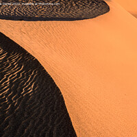 Buy canvas prints of Textures of a Sand Dune by Derek Daniel
