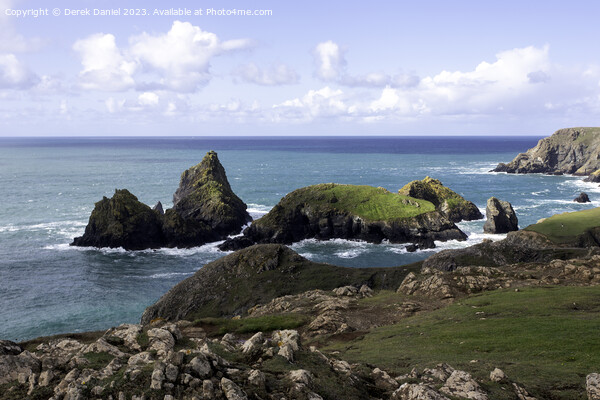 A walk along the clifftop at Kynance Cove, Cornwall Picture Board by Derek Daniel