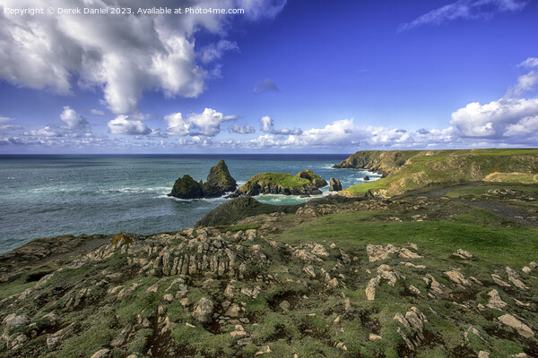 A walk along the clifftop at Kynance Cove, Cornwall Picture Board by Derek Daniel