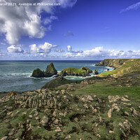 Buy canvas prints of A walk along the clifftop at Kynance Cove, Cornwall by Derek Daniel