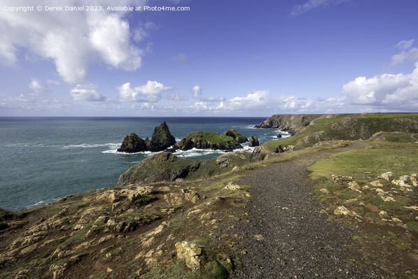 A walk along the South West Coastal path at Kynance Cove, Cornwall  Picture Board by Derek Daniel