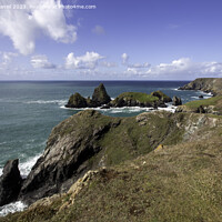 Buy canvas prints of A walk along the clifftop at Kynance Cove, Cornwall  by Derek Daniel