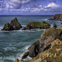 Buy canvas prints of A walk along the clifftop around Kynance Cove, Cornwall by Derek Daniel