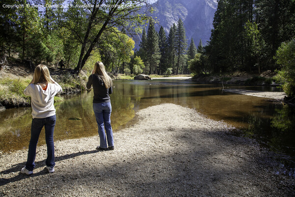 Fishing in Yosemite National Park Picture Board by Derek Daniel