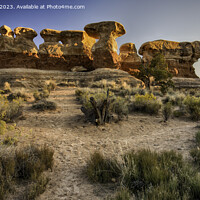 Buy canvas prints of Navajo Sandstone wonderland by Derek Daniel