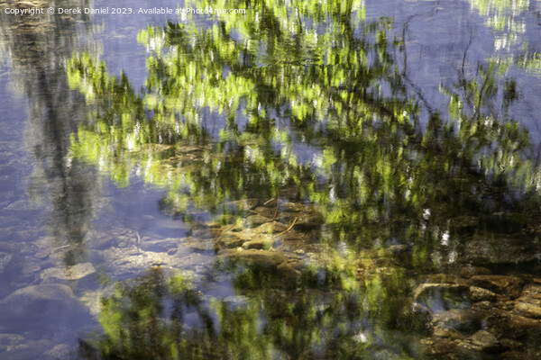 Leaf Reflection, Yosemite Picture Board by Derek Daniel