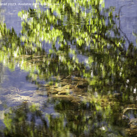 Buy canvas prints of Leaf Reflection, Yosemite by Derek Daniel