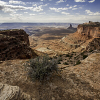 Buy canvas prints of Canyonlands National Park by Derek Daniel