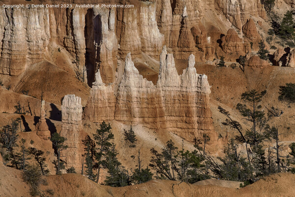 Awe Inspiring Hoodoos of Bryce Canyon Picture Board by Derek Daniel
