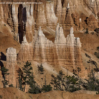 Buy canvas prints of Awe Inspiring Hoodoos of Bryce Canyon by Derek Daniel