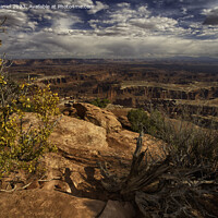Buy canvas prints of The Beauty of Canyonlands National Park by Derek Daniel