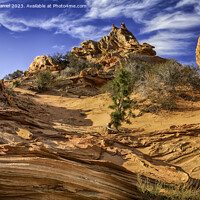 Buy canvas prints of South Coyote Buttes, Arizona by Derek Daniel